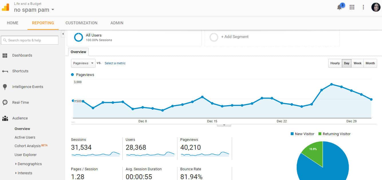 Audience Overview Analytics december