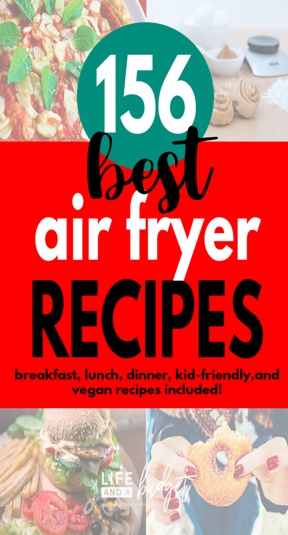 150ish of The Best Frugal Air Fryer Recipes Life and a Budget