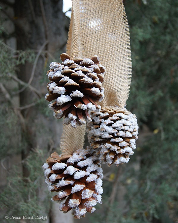 Frosting pinecones 
