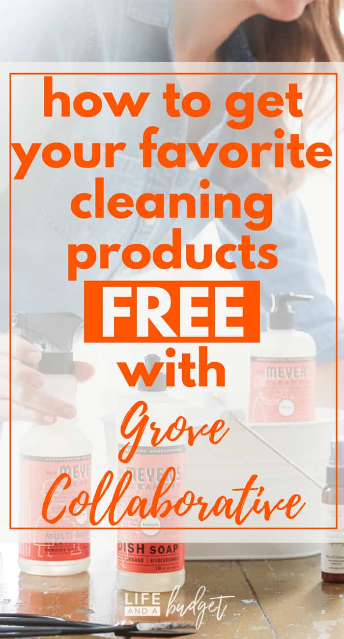 how-to-get-free-cleaning-supplies-without-the-100-target-run-life