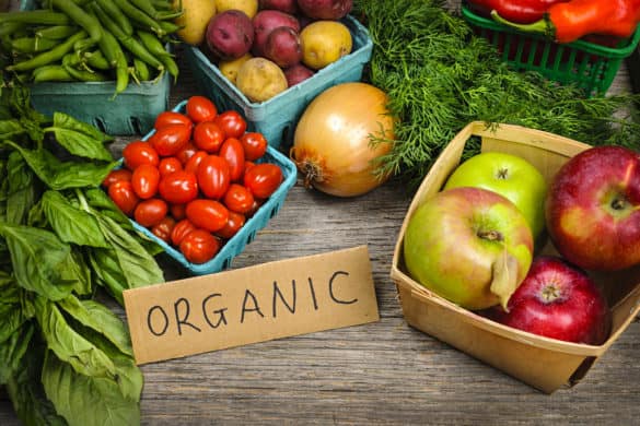 Here’s how I can afford to eat organic foods, vegetables, and fruits, on a small budget with these practical tips and ideas. This is the #1 way to get cheap organic vegetables and fruit without spending a lot of money. In fact, I only paid $28 for a box full of produce! #frugalliving #organic #budget #healthy